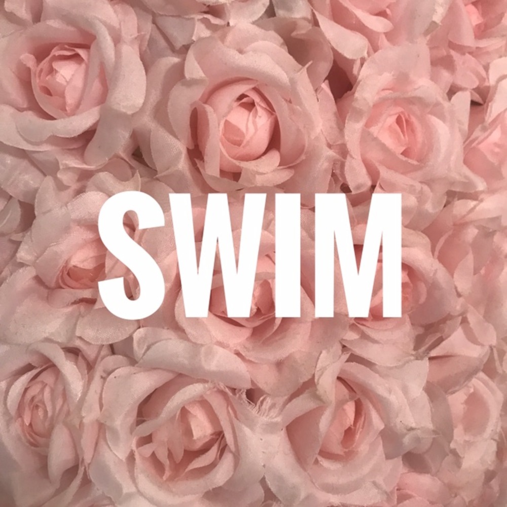 🌹🌹🌹🌹🌹